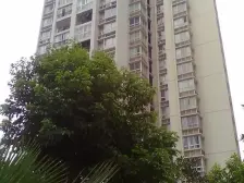 鸳鸯 园丁梦苑二房85万