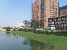 大别墅送大花院子的送大露台的