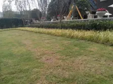 西区 融创嘉德领馆三房123万