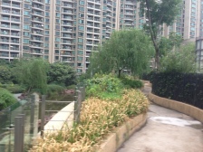 瑞虹新城朝南全明户型,采光无遮挡,尊享瑞虹商圈