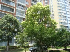 此房南北通,近梅川路步行街,百联购物广场,祥和公园