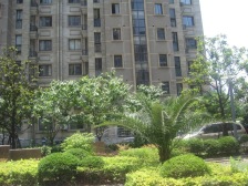 品质小区,环境优美,诚意出售,精装好房