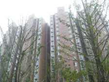 7月主推:金色中环,南北通风,优质三房,满五税费少