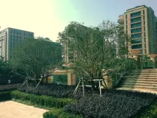 电梯房,卫生间全明,近地铁,小区景观位置,诚意出售,带车位,景观房