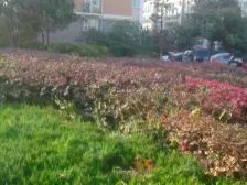 工农路人民路交汇处小石桥旁,东昇花园房屋诚意出售