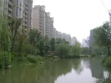 中间位置,满五年无个税,户型正气,有车位