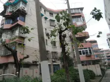 电梯房,大开间,品质小区,厨卫朝北