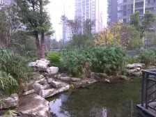 滨江路 滨江国际花园四房98万