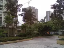 鸳鸯 园丁梦苑二房95万