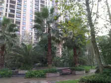 滨江路 金科黄金海岸二房36万