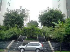 龙头寺鲁能星城 配套8蜀 朝南三房 端户 三面采光!