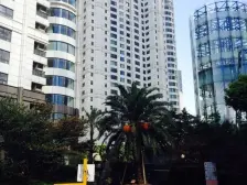 盛大为数不多的江景两房,带租约出售,决美视野!