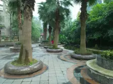 滨江路 滨江国际花园二房56万