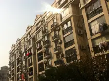 新上(加装电梯)凤凰楼层,四房适合一家三代