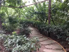 前排一线正江景,俯瞰渝中半岛。