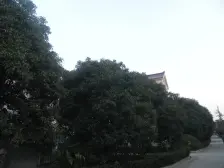 地铁口洋房,顶楼复式,装修自住