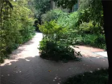 南滨路 自住装修三房看江,保持完好,拎包入住