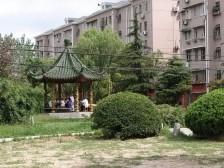 龙潭小区 3室1厅 南