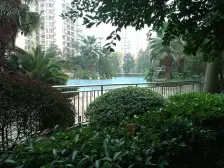 滨江路 金科黄金海岸三房