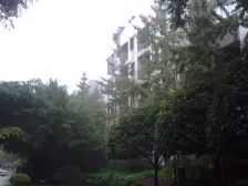 鸳鸯 融科蔚城三房128万