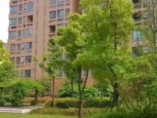 仅有大平层南北花园+地下室 人车分流,配套成熟次新房