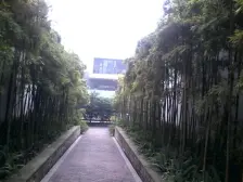 业主急售 金渝轻轨旁拎包入住hao华装修四房