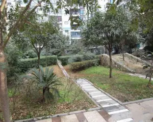 龙华阳光 2室1厅 南