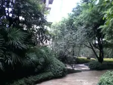 海阔天空,经典两房,高楼层,视野开阔