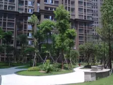 此房是清水三房,位置很好,很安静。