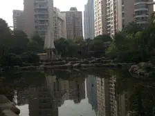 内环内品质小区一房 高区采光无遮挡 交通便利五轨交汇