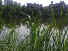 鸳鸯 融科橡树澜湾一期六房