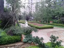 艾维尼南向一室,诚心出售,看房方便,价格可谈