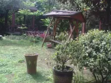 龙湖蓝湖郡,喽王,一线临湖,有实力必看好房