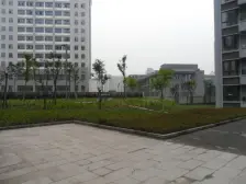 金色年华 2室2厅 东 西