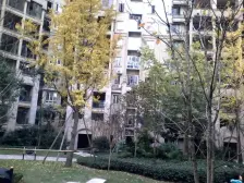 爱加西西里 4室2厅 南