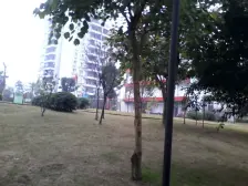 鸳鸯 中冶北麓原四房239万