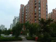 联排别墅,北进门,南花园,南露台,带车位