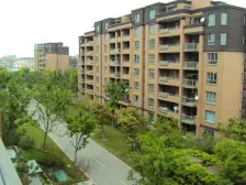 杨思前滩/花园洋房/板式户型/送产权车位