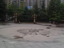 鸳鸯 复地上城四房