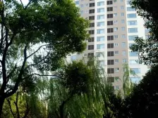 新天地 · 翠湖天地雅苑 · 3室 · 2厅