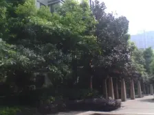 鸳鸯 融科蔚城二房106万