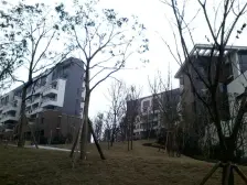 鸳鸯 中冶北麓原四房