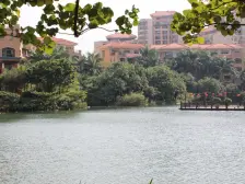 东莞豪苑 一楼朝南复式 看湖景 带花园 满五唯一