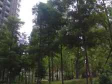 鸳鸯 复地天玺二房165.1万