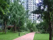 礼嘉 龙湖悠山时光(高层)三房105万