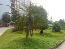 南桥寺 香逸半山三房99万