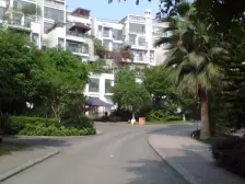 鸳鸯 金城银樽二房62万