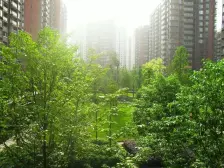 龙头寺 华宇北城中央三房110万