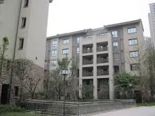 洋房266平140多颗 带大花园 装了的