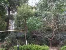 6米层高 满五唯一 装修保养好 诚心出售!